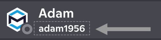 Where to find the Discord username - the handle under the display name