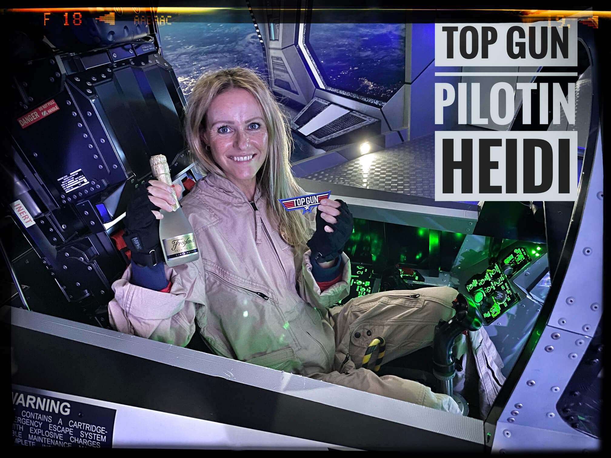 VR-JET Flight Simulator on the QS-220 motion platform - photo 1