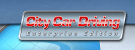 City Car Driving EE